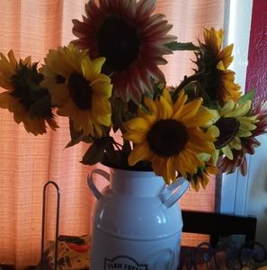 Meet your Posher, June